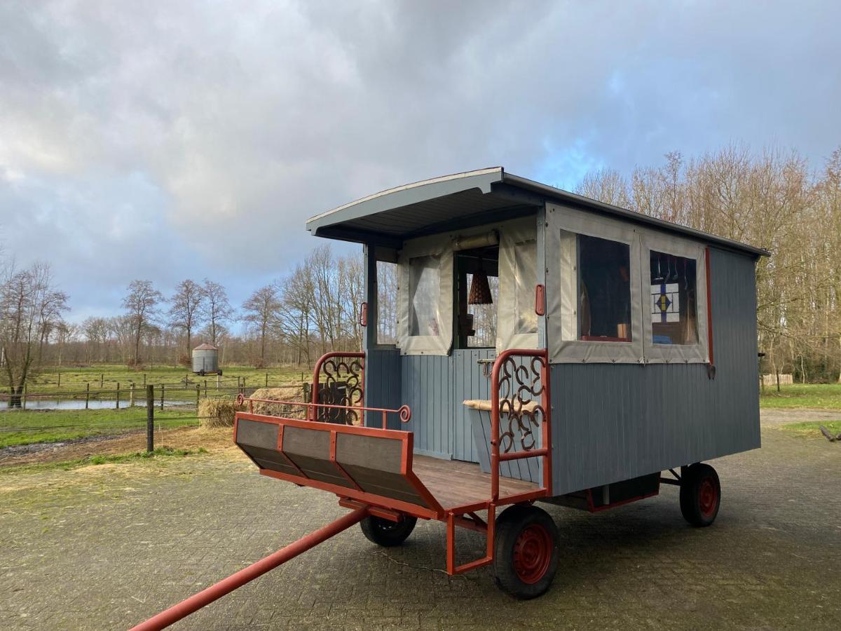 Camping De Bosrand Spier Esterno foto