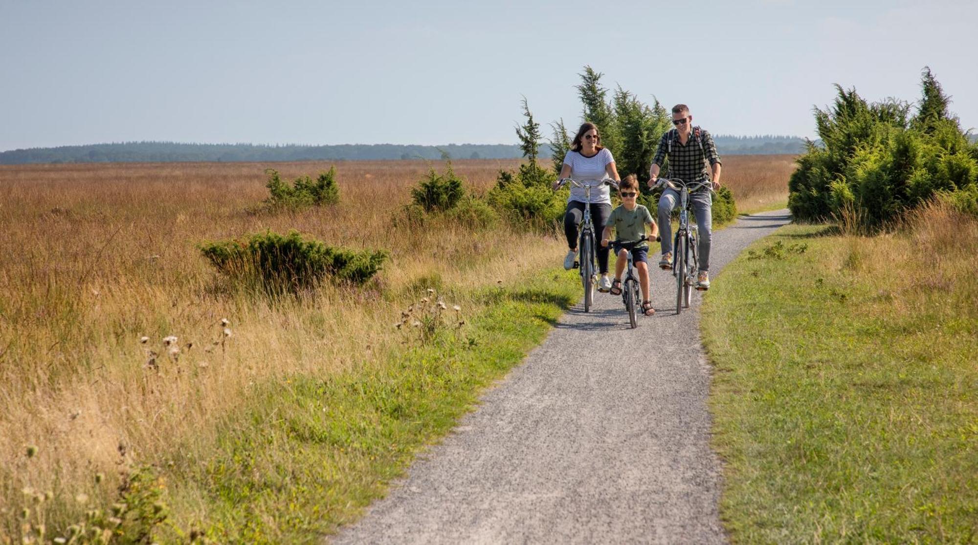 Camping De Bosrand Spier Esterno foto
