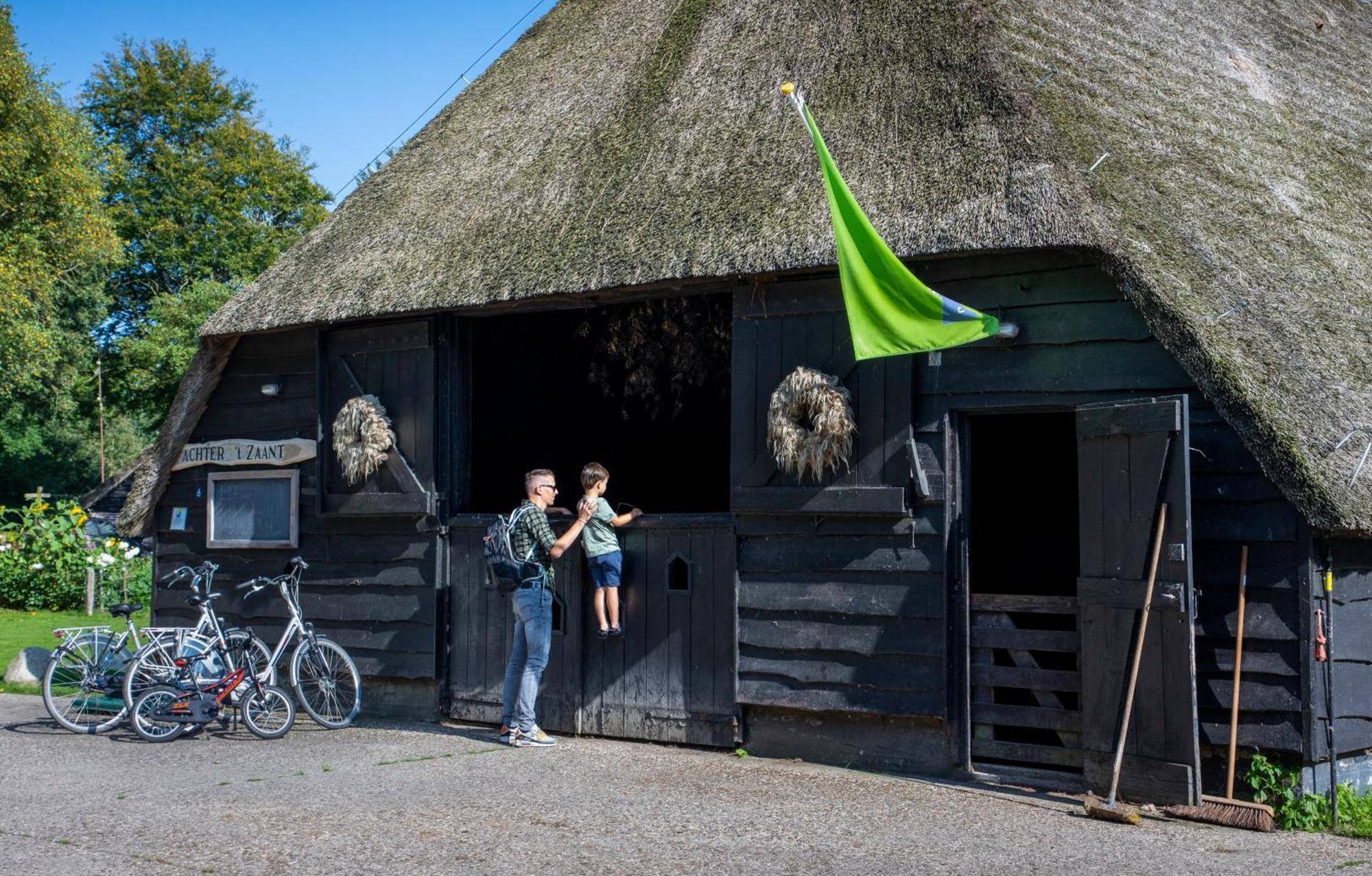 Camping De Bosrand Spier Esterno foto